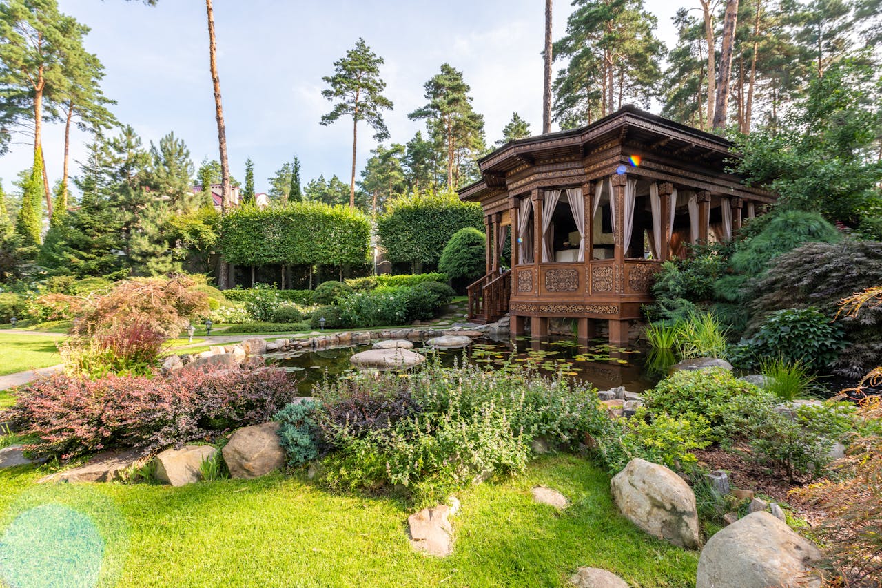 Transforming a Small Backyard into a Lush Garden Retreat